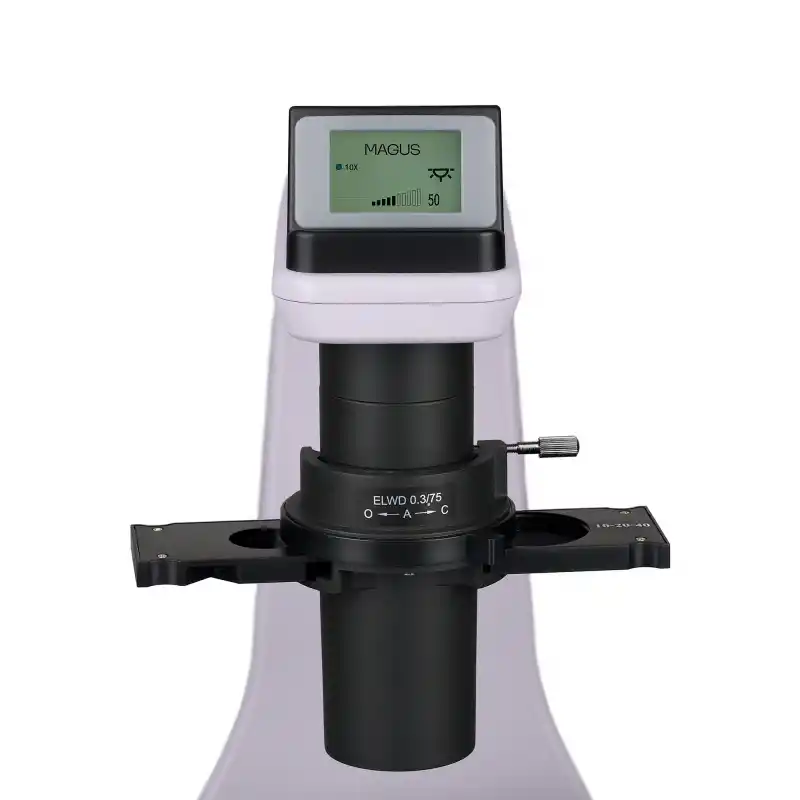 MAGUS Bio V360 Biyoloji İnverted Mikroskop