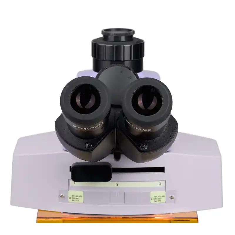 MAGUS Lum 450L Floresan Mikroskop