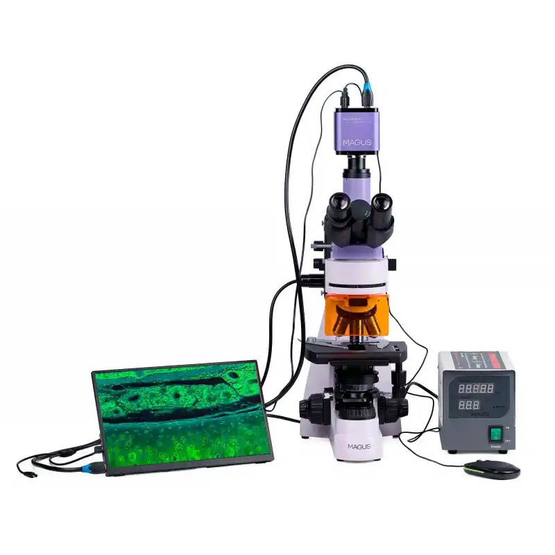 MAGUS Lum D400 LCD Floresan Dijital Mikroskop