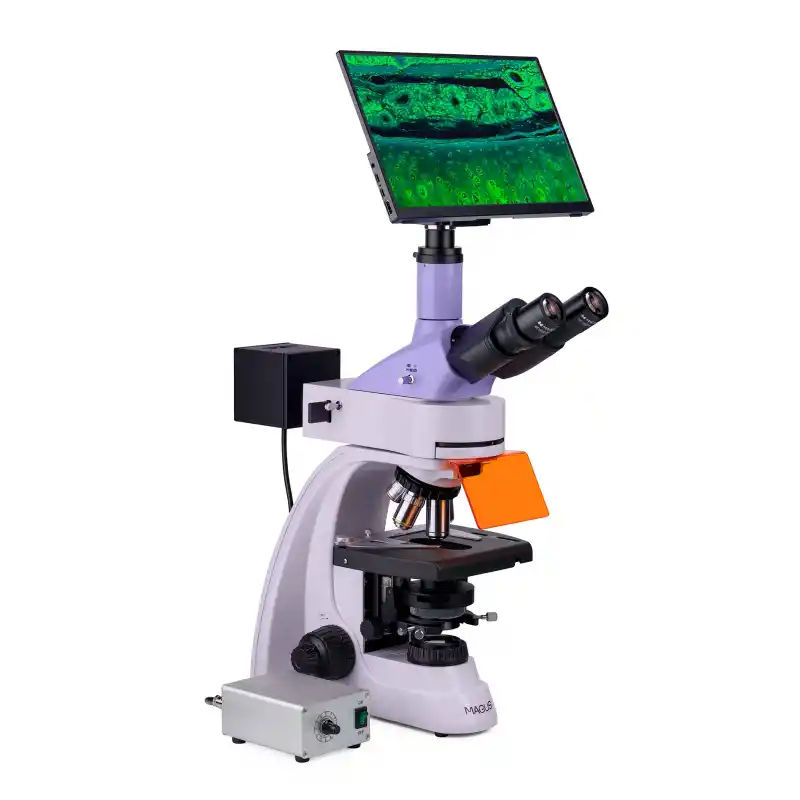 MAGUS Lum D400L LCD Floresan Dijital Mikroskop