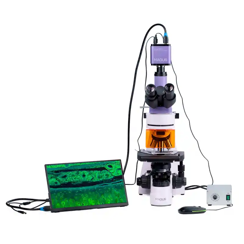 MAGUS Lum D400L LCD Floresan Dijital Mikroskop