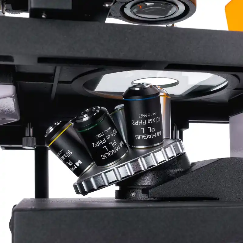 MAGUS Lum V500L Floresan İnverted Mikroskop