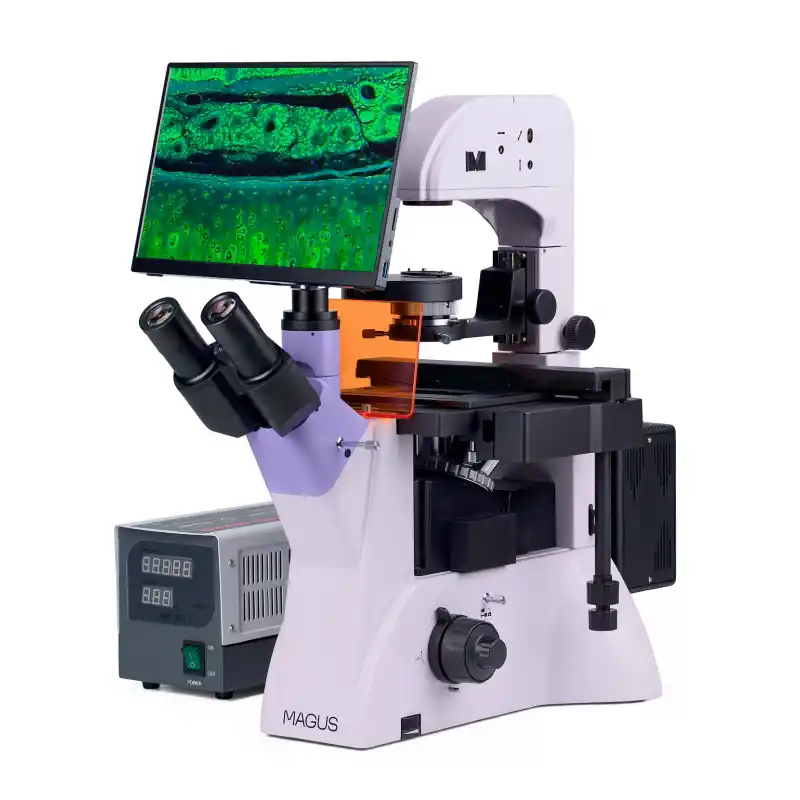 MAGUS Lum VD500 LCD Floresan İnverted Dijital Mikroskop