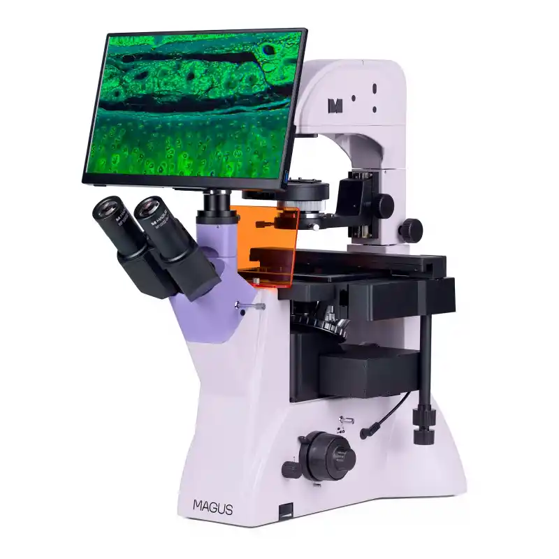 MAGUS Lum VD500L LCD Floresan İnverted Dijital Mikroskop