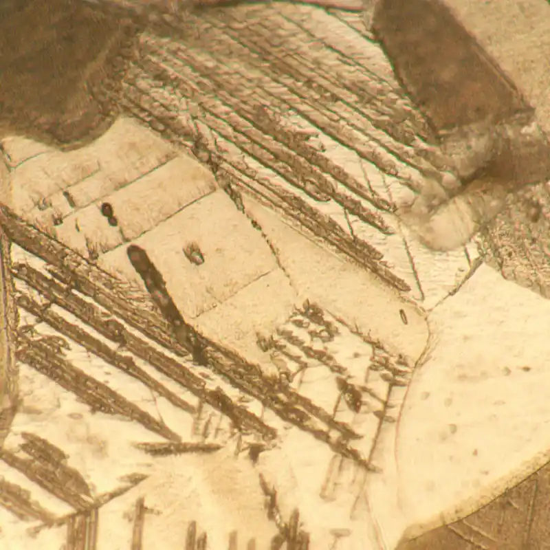 MAGUS Metal V700 BD Metalurji İnverted Mikroskop