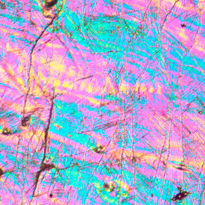 MAGUS Metal V700 DIC Metalurji İnverted Mikroskop