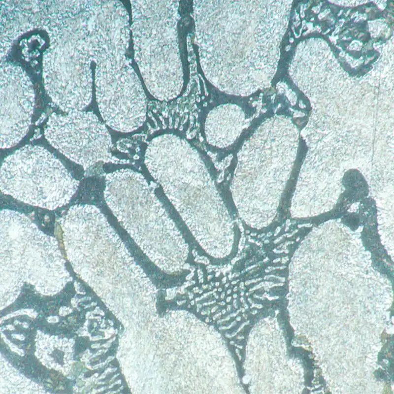 MAGUS Metal V700 Metalurji İnverted Mikroskop