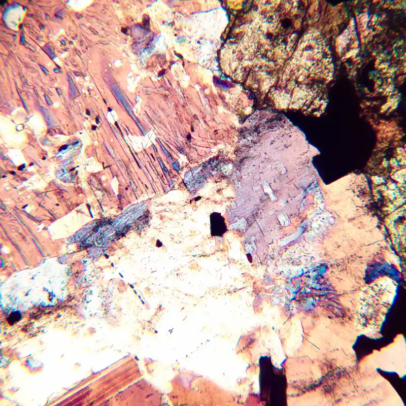 MAGUS Pol 800 Polarize Mikroskop