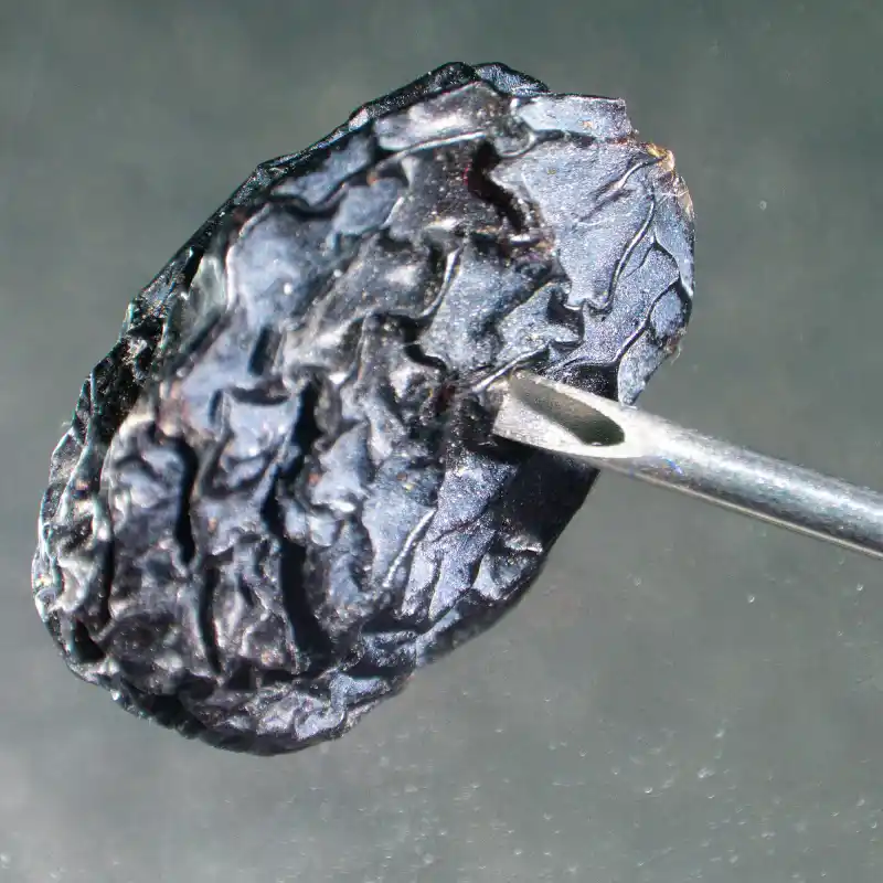 MAGUS Stereo A6 Stereomikroskop