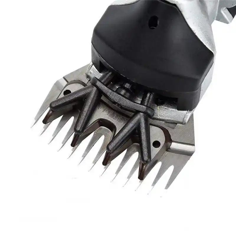 Proter PR 580 K Koyun Kırkma Makinesi