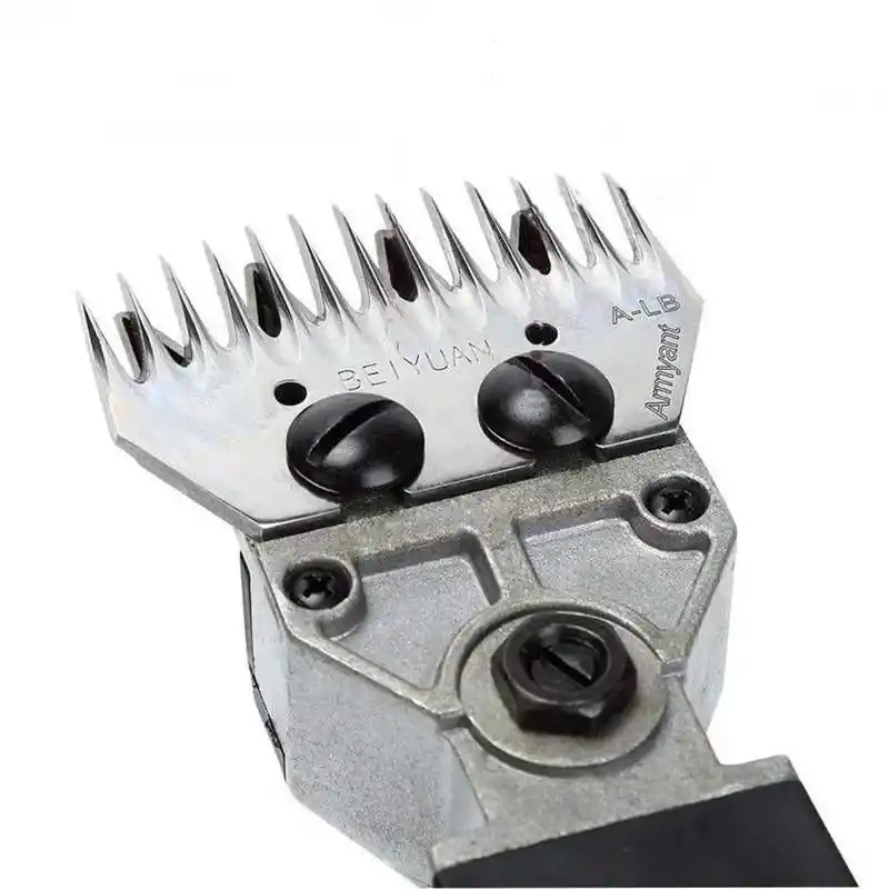 Proter PR 580 K Koyun Kırkma Makinesi