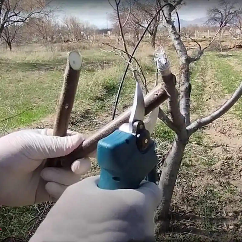 Proter PST 132 BL Akülü Dal Budama Makası