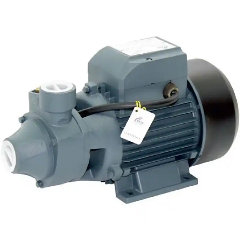 Rain Pump QB70 Santrifuj Pompa