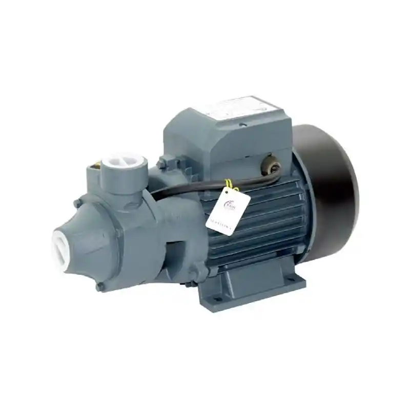 Rain Pump QB80 Santrifuj Pompa