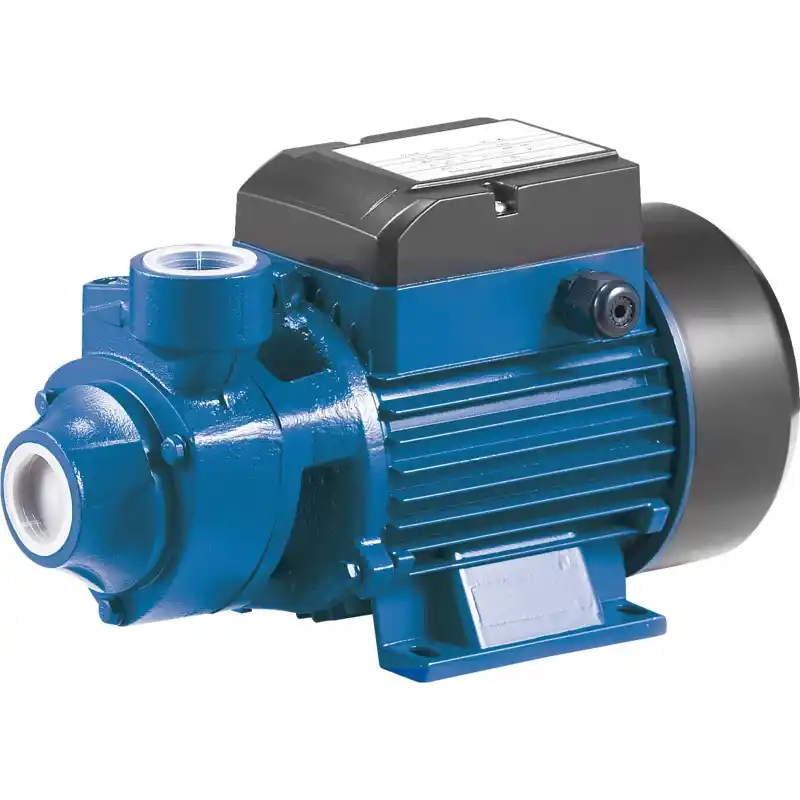 Rain Pump QB70 Santrifüj Pompa 0,7 Hp