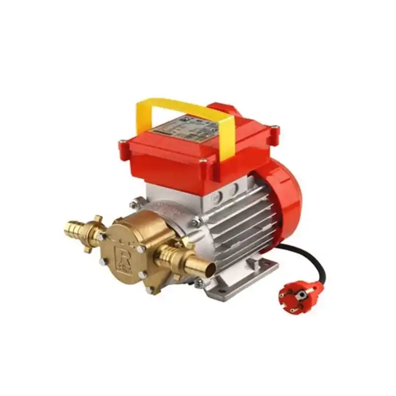 Rover BEG 20 979000 29 Lt/Dk 220 V Elektrikli Dişli Yağ Pompası