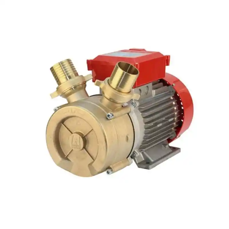 Rover Bem 50270000 250 Lt/Dk 220 V Elektrikli Paletli Yağ Transfer Pompası