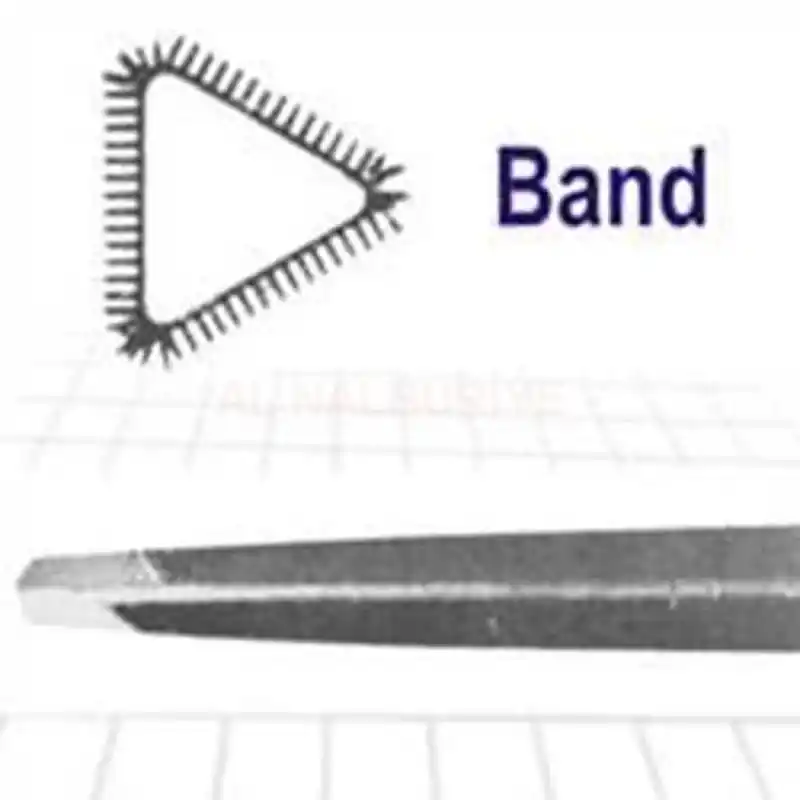 Threefıles Ege Band 07