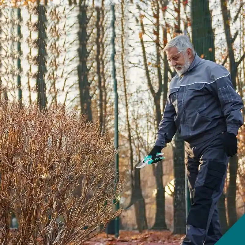 Total THT0601 Bahçe Budama Makası