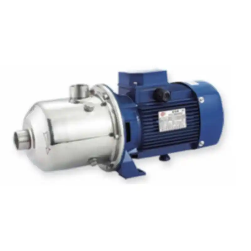 Water Sound DW 2-60 075D 1HP Yatık Milli Çok Kademeli Santrifüj Pompa