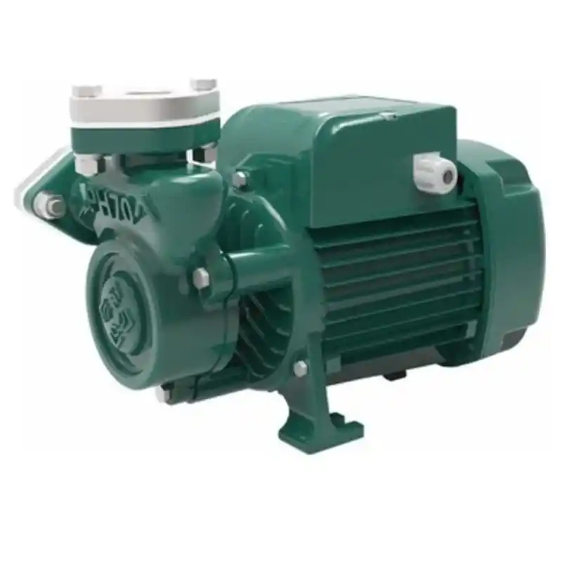 Water Sound PH70 1HP Paslanmaz Çelik Milli Sucak Suya Dayanıklı Pompa