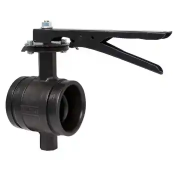 ETM DN100 Kaplin Kelepçe Bağlantılı Kelebek Vana 4