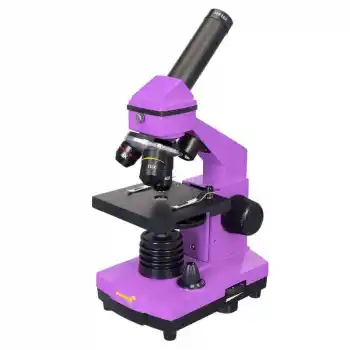 Levenhuk Rainbow 2L PLUS Mor Mikroskop