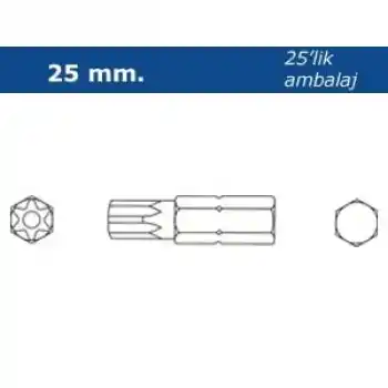 Proscr SCR03205 T9 25mm Delikli Torx Bits Ucu