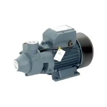 Rain Pump QB80 Santrifuj Pompa