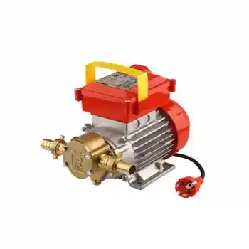 Rover BEG 20 979000 29 Lt/Dk 220 V Elektrikli Dişli Yağ Pompası