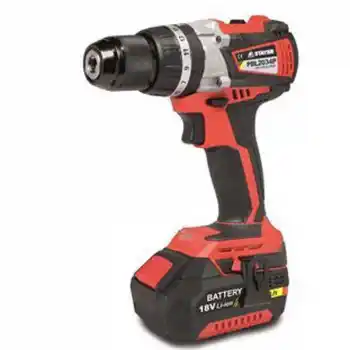 Stayer PBL 2034 PK Çift Akülü Matkap Vidalama