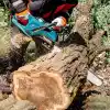 Makita UC030GZ Solo Akülü Ağaç Kesme Testeresi