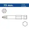 Proscr SCR03175 PZ2 75mm Pozi Bits Ucu