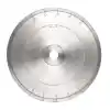 Raimondi 300mm Porselen için Segmentli Testere
