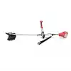 Stayer BRUSH CUTTER 36V L20 Solo Akülü Kömürsüz Tırpan Motoru