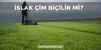 Islak Çim Biçilir mi? (Kesin Zararları ve Usta Çözümleri)