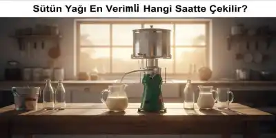 Sütün Yağı En Verimli Hangi Saatte Çekilir? | 32 Yıllık Teknik Rehber