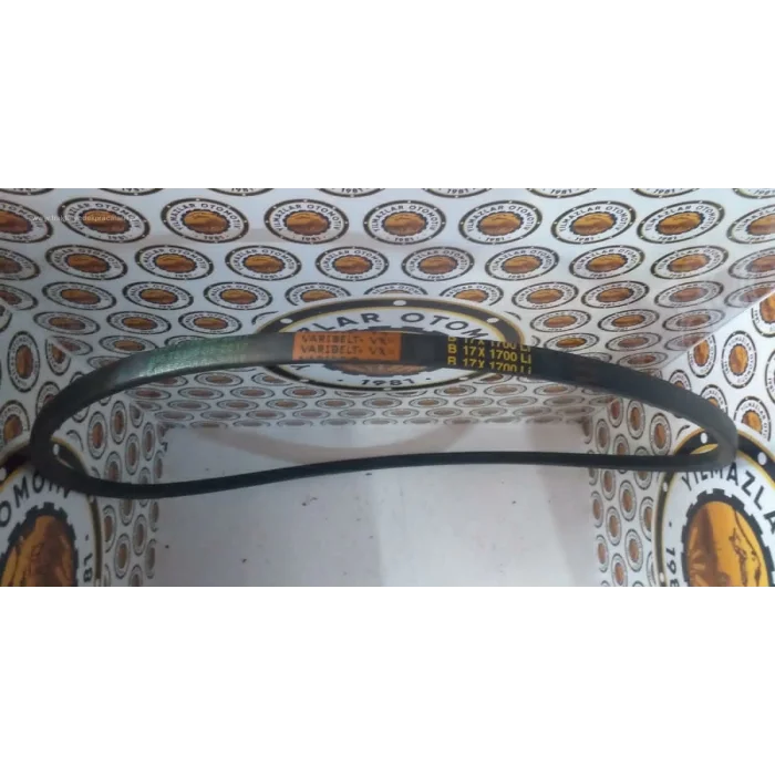 17 X 1700 V KAYIŞ DÜZ