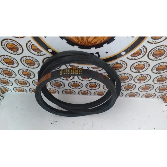 17 X 1875 V KAYIŞ DÜZ