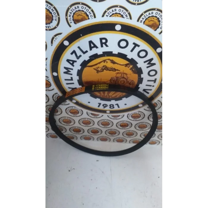 17 X 850 V KAYIŞ DÜZ