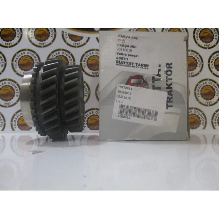 30310010 DİŞLİ