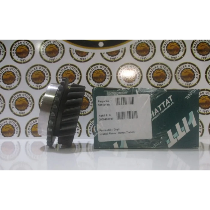 30310110 DİŞLİ