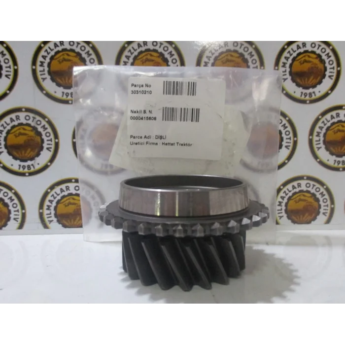 30310210 DİŞLİ