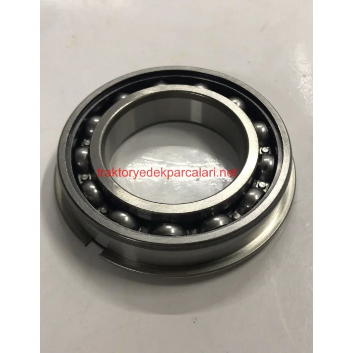 6009 NR C3 RULMAN ORS