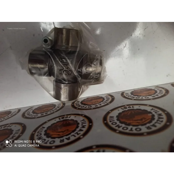 AKS KARDAN MAFSALI DANA DİNGİL