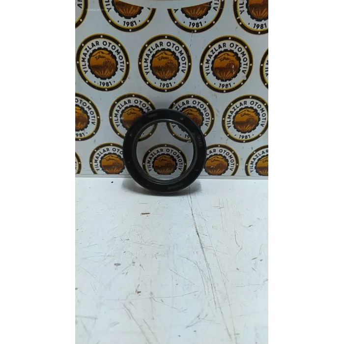 ARKA AKS PORYA KEÇESİ SKT -47496-47203( 58-80-13) 630-955