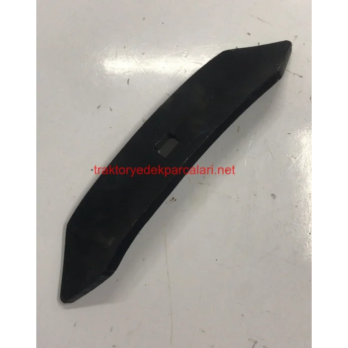 AYSAN KÜRÜM YILAN DİLİ