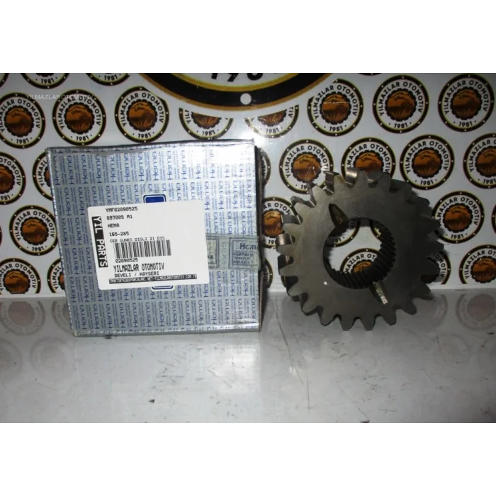 CER GÜNEŞ DİŞLİ MF