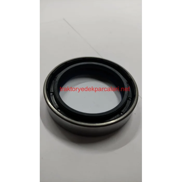 DANA DİNGİL ÖN AKS KEÇESİ HATTAT