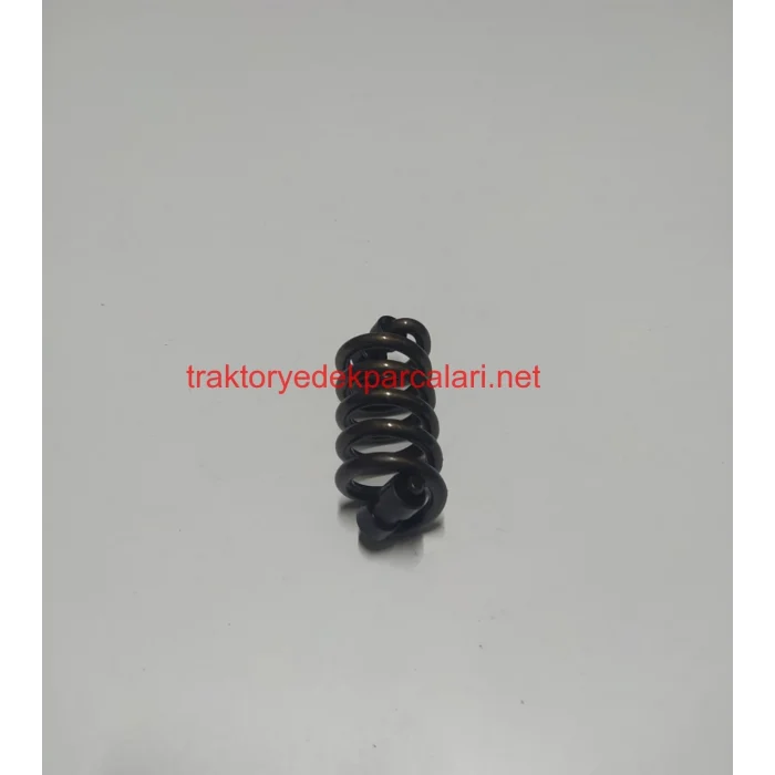 DEBRİYAJ BASKI YAYI